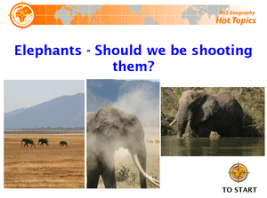 Elephants   Should We Be Shooting Them