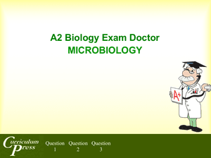 A2 13 Microbiology