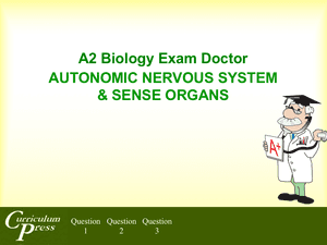 A2 17 Autonomic Ns & Sense Organs