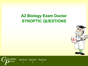 A2 20 Synoptic Questions