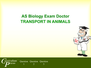 As 04 Transport In Animals