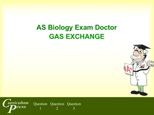As 06 Gas Exchange