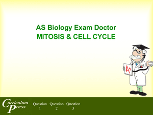 As 07 Mitosis & Cell Cycle