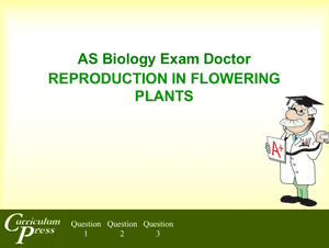 As 14 Reproduction In Plants