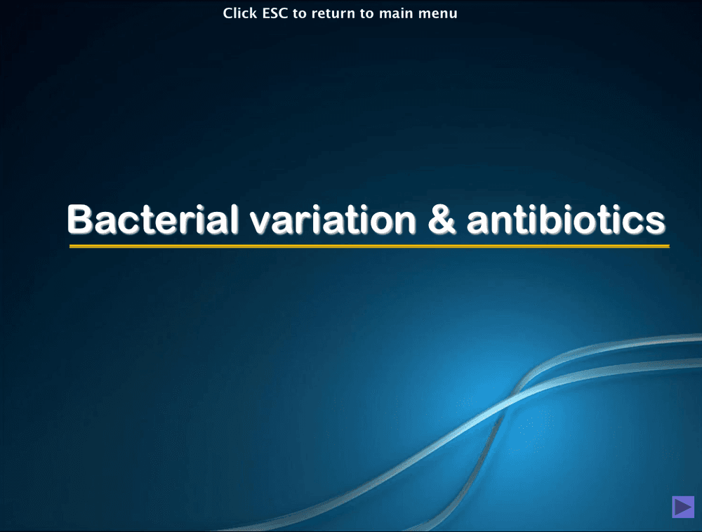 Bacterial Variation and Antibiotics - A-Level PowerPoint - Curriculum Press