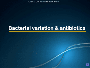 Al Bio Bacterial Variation And Antibiotics