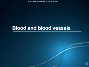 Al Bio Blood And Blood Vessels