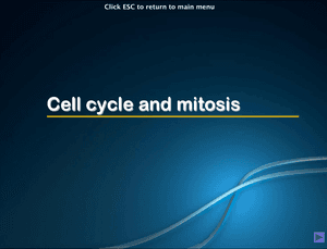 Al Bio Cell Cycle & Mitosis