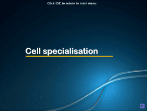 Al Bio Cell Specialisation