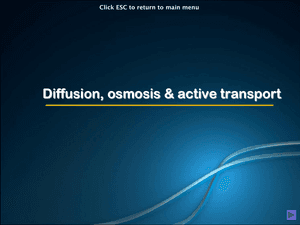 Al Bio Diffusion Osmosis & Act Trans