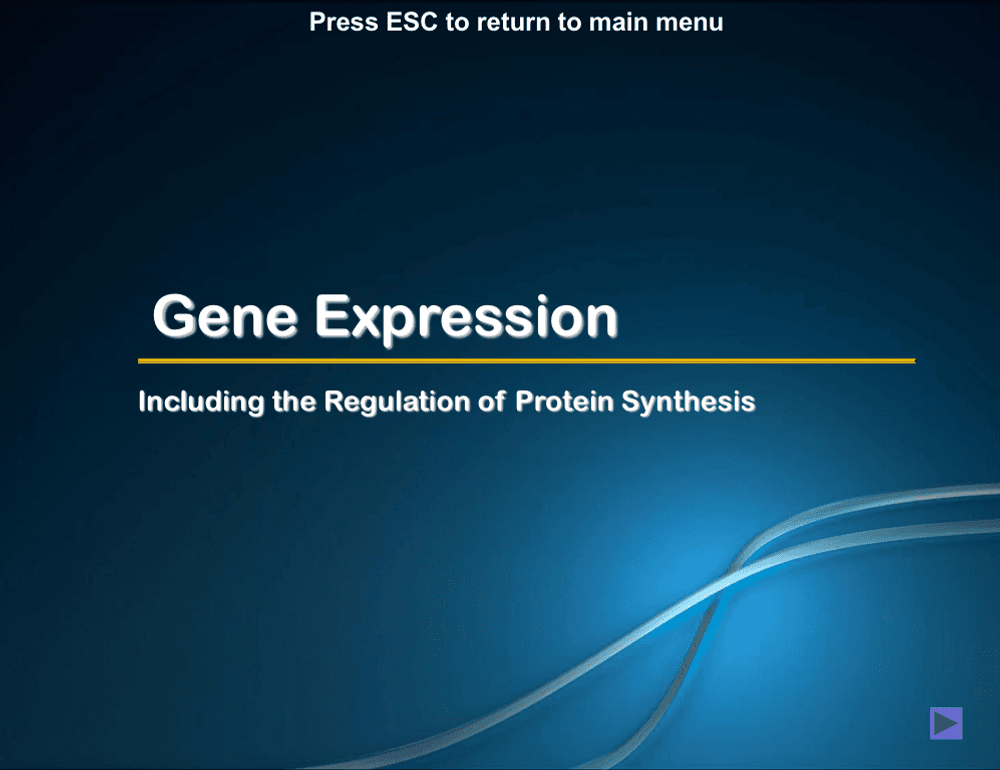 Gene Expression - A-Level PowerPoint - Curriculum Press