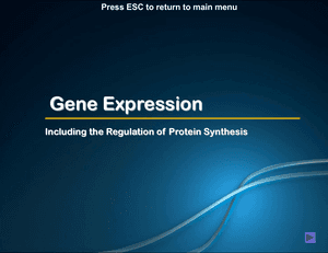 Al Bio Gene Expression