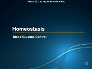 Al Bio Homeostasis Blood Glucose