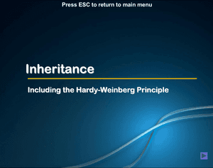 Al Bio Inheritance And Hardy Weinberg