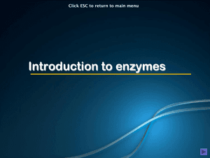 Al Bio Introduction To Enzymes