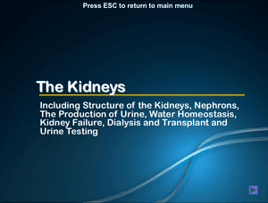 Al Bio Kidneys