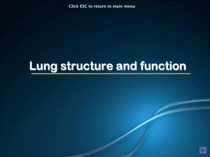 Al Bio Lung Structure And Function