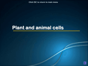 Al Bio Plant And Animal Cells