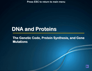 Al Bio Protein Synthesis