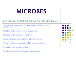 8 Ks3 Microbes Year 8