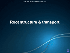 Al Bio Root Structure And Transport