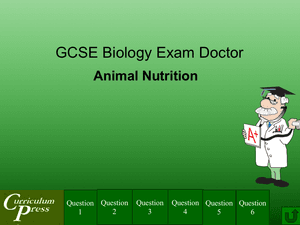 Gcse Biology Doctor Animal Nutrition
