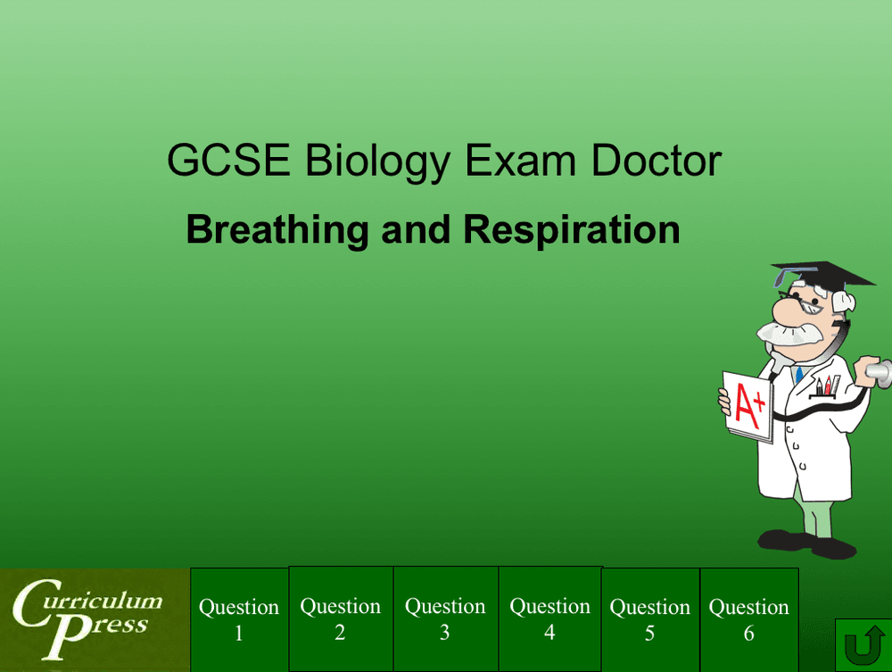 Breathing and Respiration – GCSE Exam Doctor PowerPoint - Curriculum Press