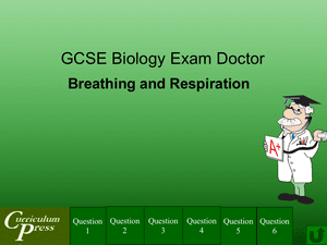 Gcse Biology Doctor Breathing And Respiration