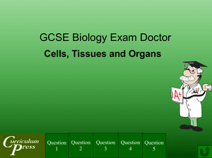 Gcse Biology Doctor Cells, Tissues And Organs
