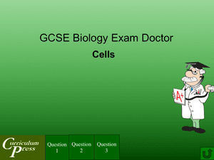 Gcse Biology Doctor Cells