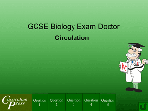 Gcse Biology Doctor Circulation