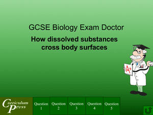 Gcse Biology Doctor How Dissolved Substances Cross Body Surf