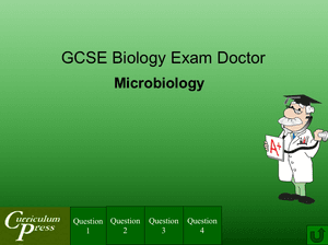 Gcse Biology Doctor Microbiology