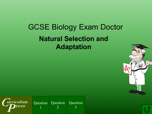 Gcse Biology Doctor Natural Selection And Adaptation