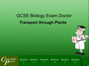 Gcse Biology Doctor Transport Through Plants