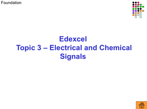 Gcse Biology Electrical And Chemical Signals Foundation