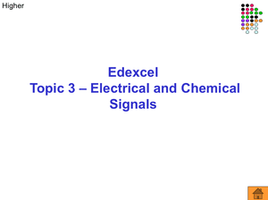 Gcse Biology Electrical Signals Higher