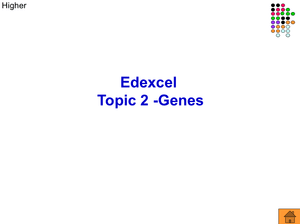 Gcse Biology Genes Higher