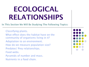 8 Ks3 Ecological Relationships Year 8