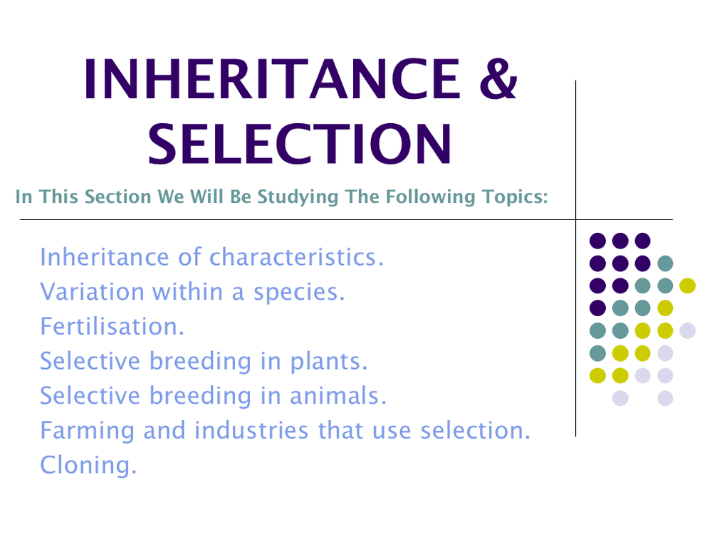Inheritance and Selection – KS3 PowerPoint (Year 9) - Curriculum Press