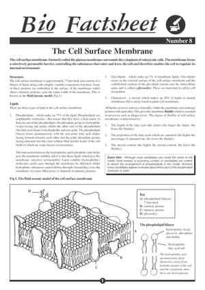 008 Cell Surface Membrane