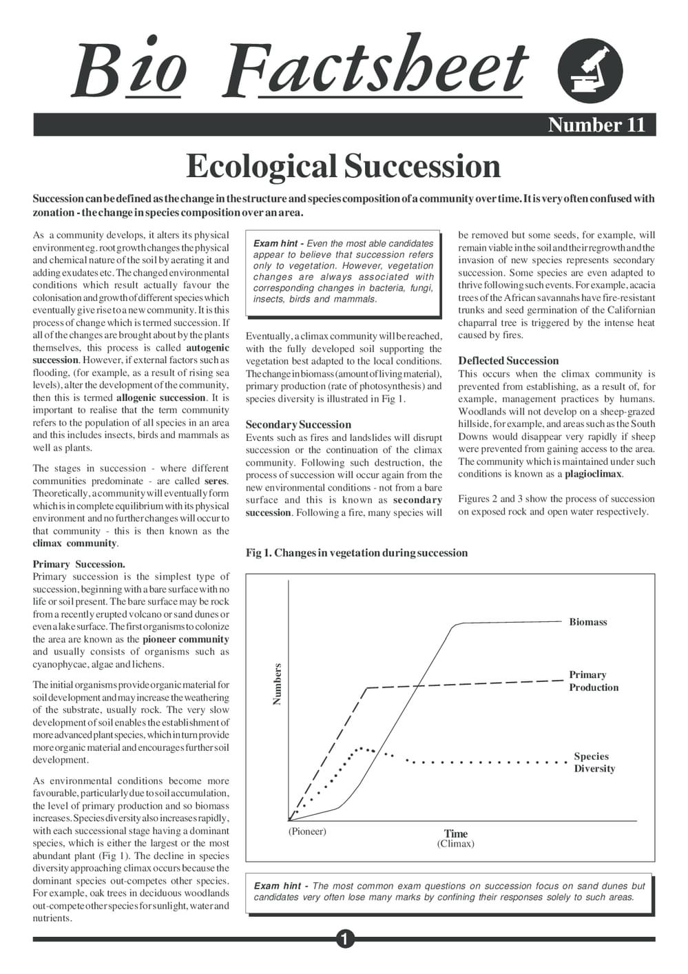 011 Ecolog Succession
