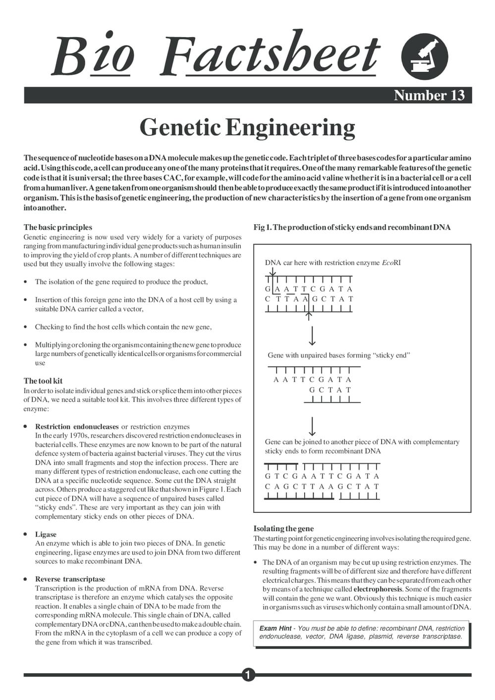 013 Genetic Engineering