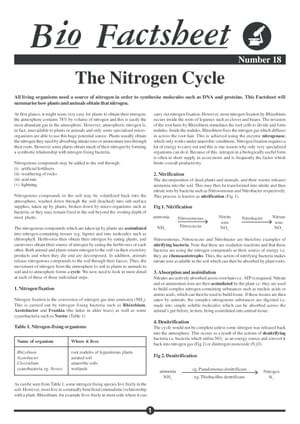 018 Nitrogen Cycle
