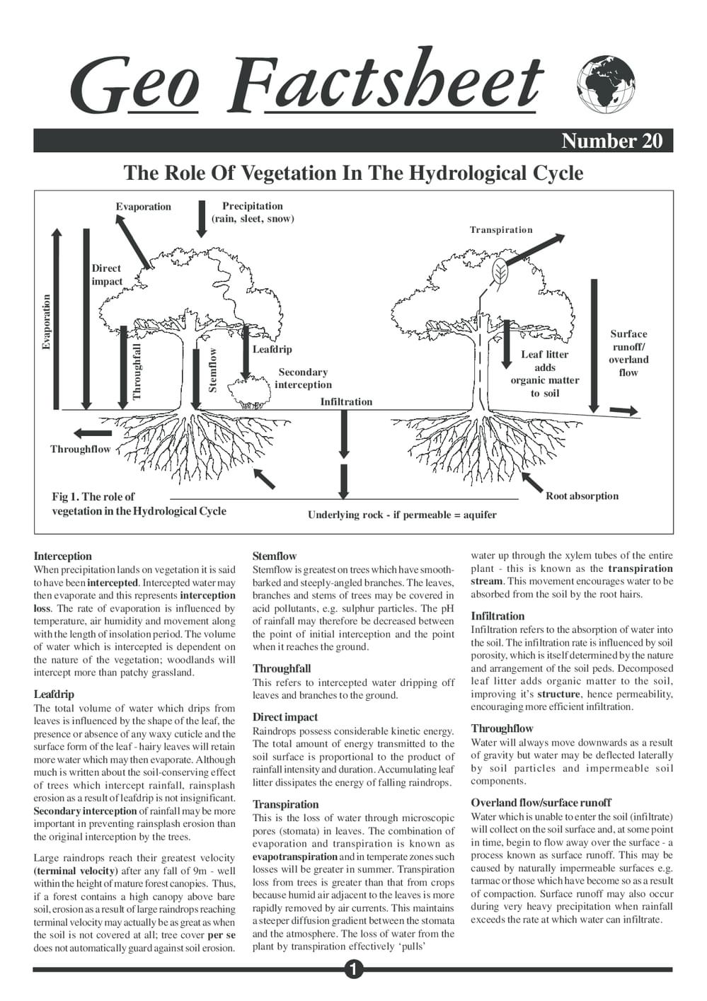 020 Role Of Vegetation Hydro Cycle