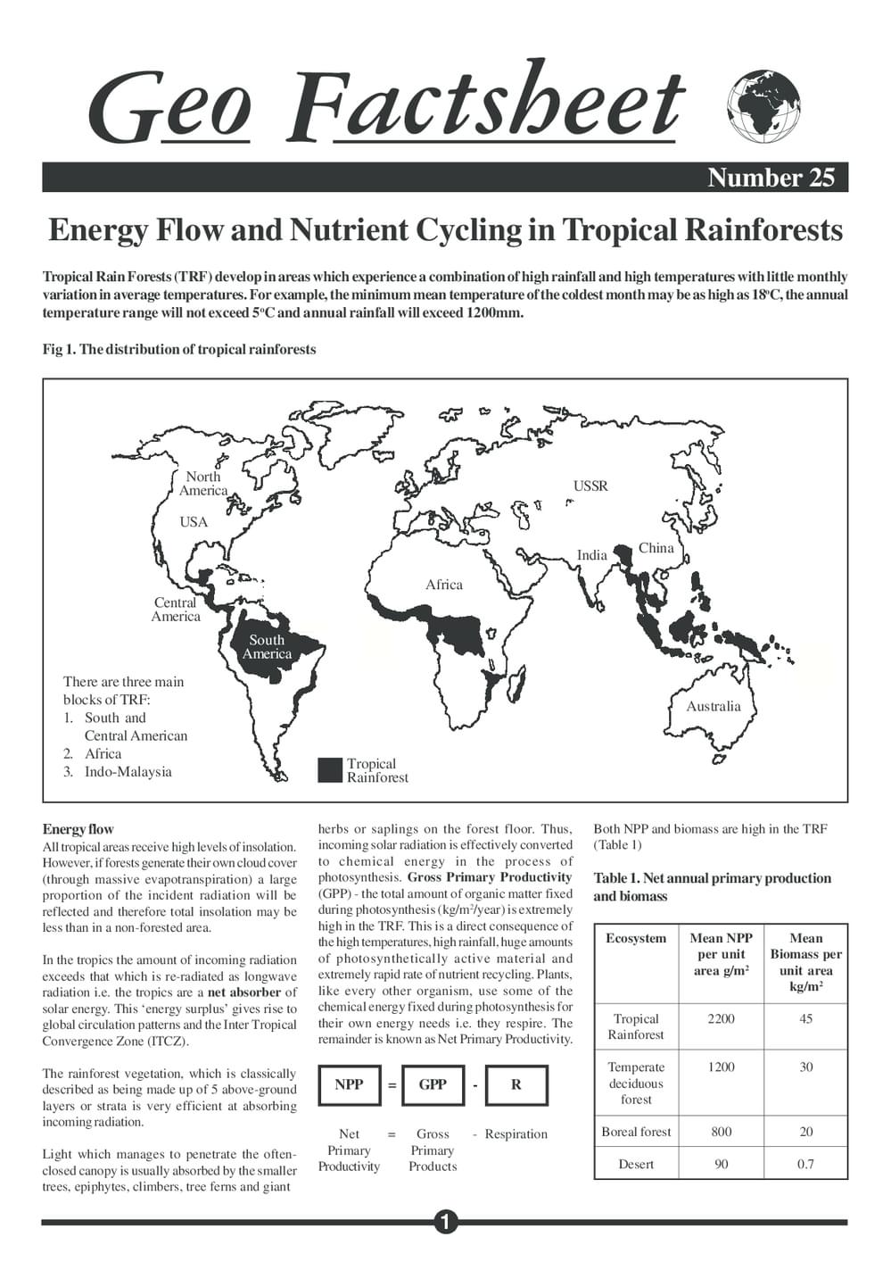 025 Energy Flow Rainforests