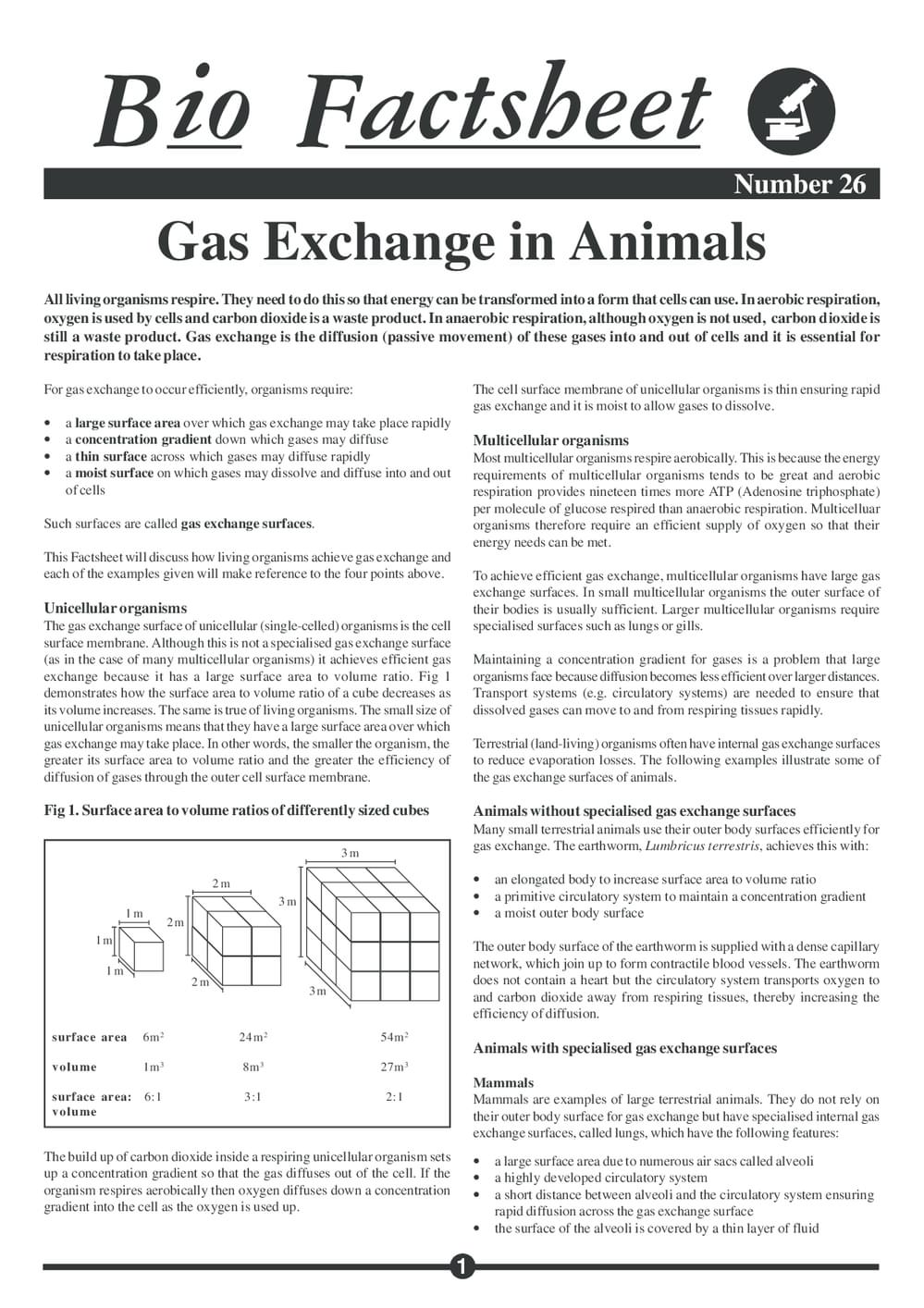 026 Gas Exchange