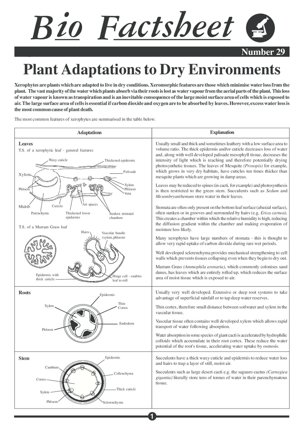029 Plant Adapt Dry Environ
