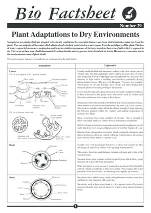 029 Plant Adapt Dry Environ
