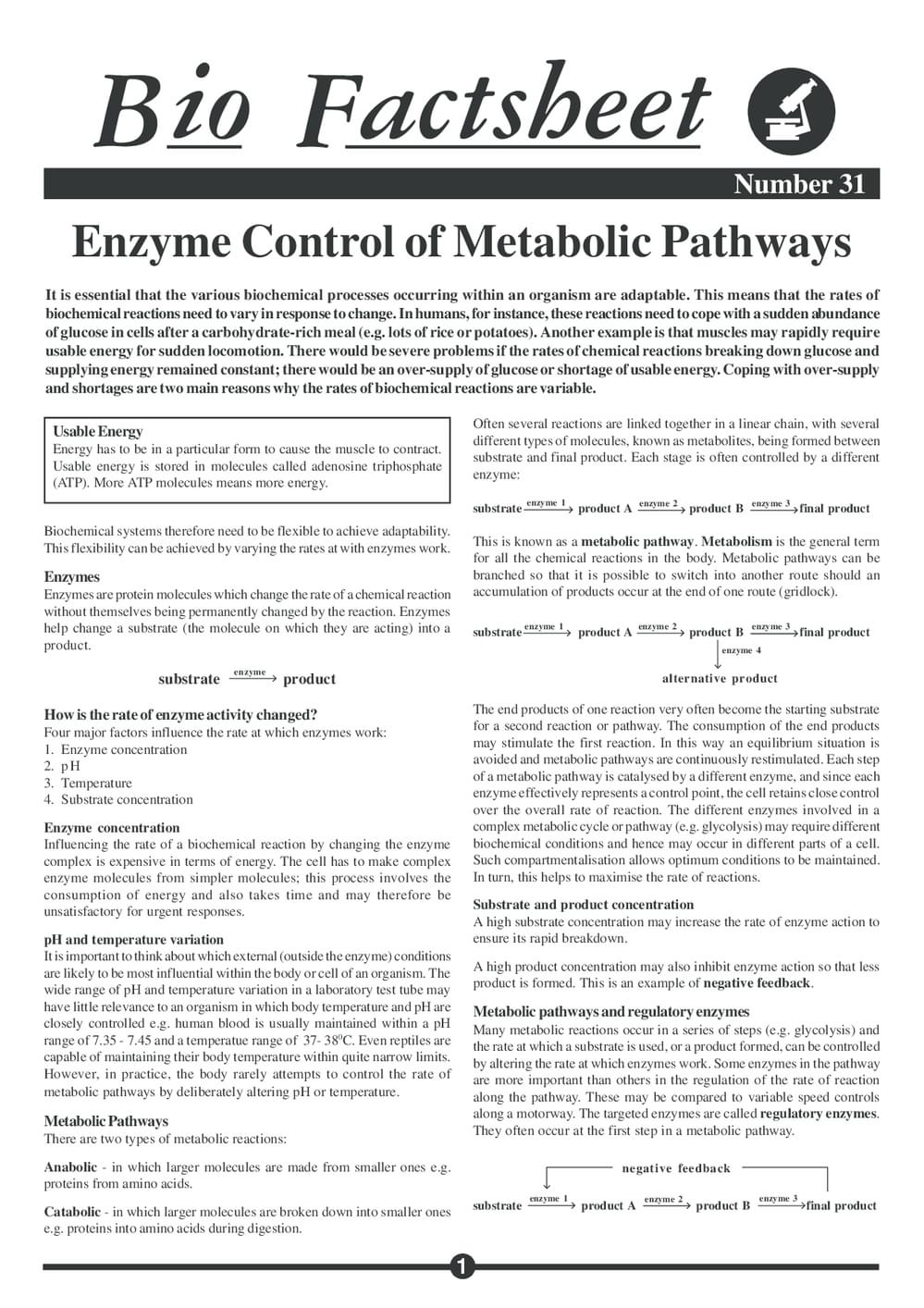031 Enzyme Control